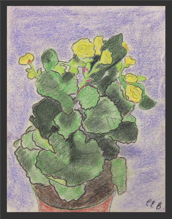 Cactus - Pastel Sketch
